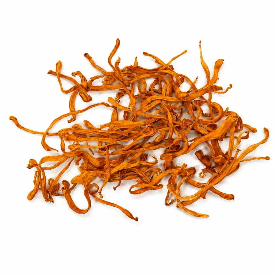 Dried cordyceps grade 1