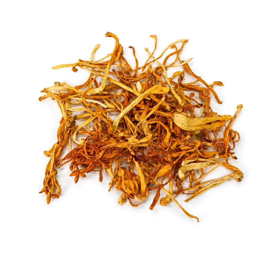 Dried cordyceps grade 2